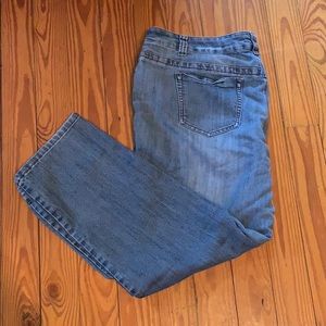 Cato Size 22W Premium Jeans